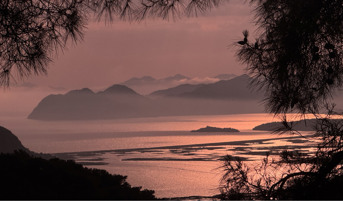 The Iztuzu Beach